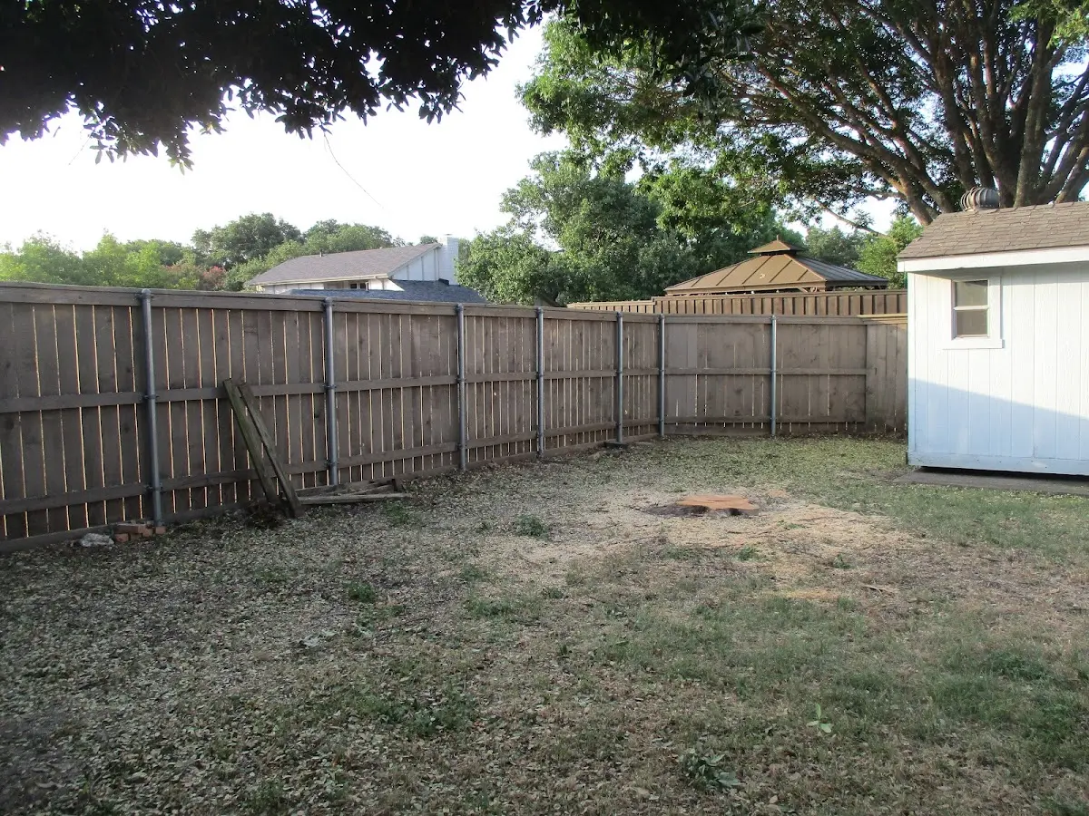 Cleared yard after professional tree removal in South Beach